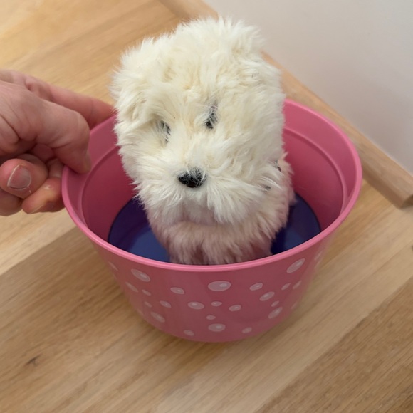 American Girl Doll & accessories 
As Is condition - Picture 5 of 11